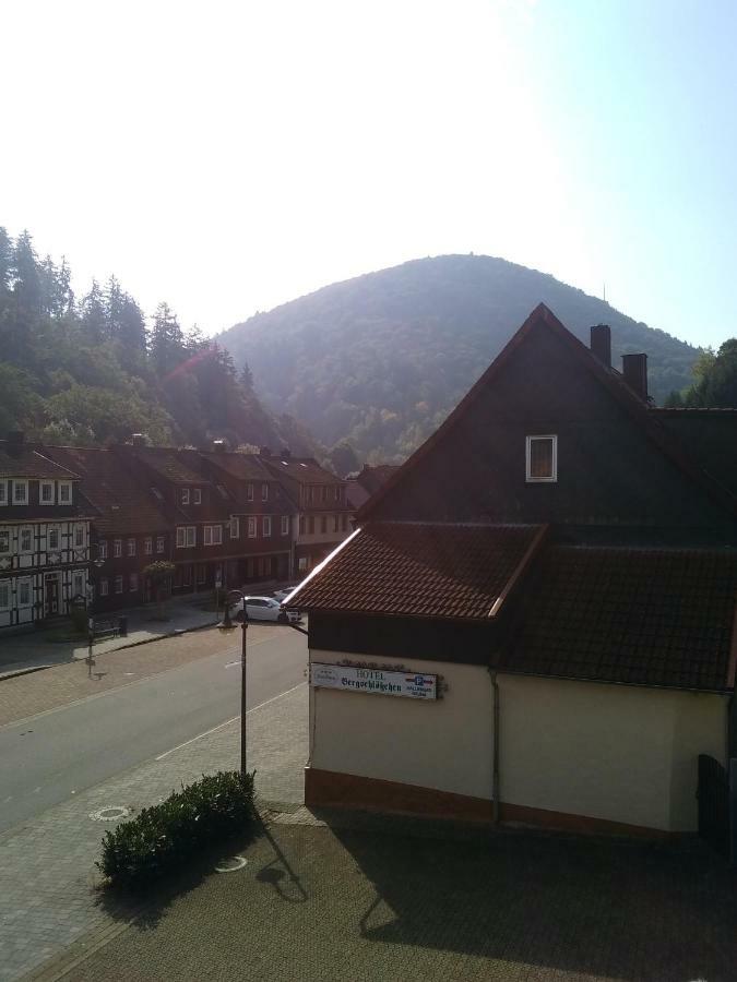 Hotel Bergschlosschen Zorge Zewnętrze zdjęcie