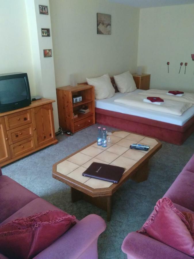 Hotel Bergschlosschen Zorge Zewnętrze zdjęcie